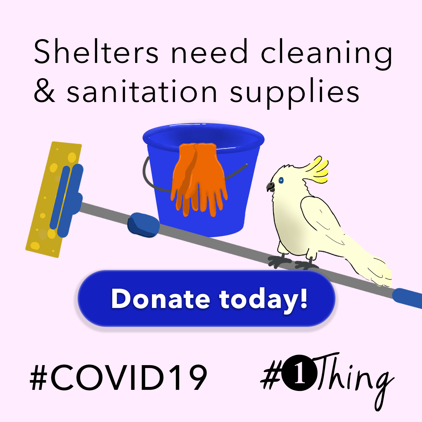 Shelters need cleaning & sanitation supplies