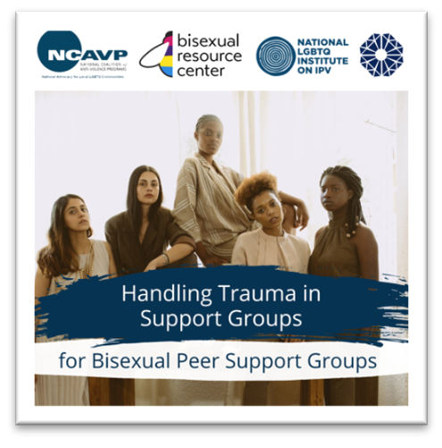 Holding Space, Creating Safety, A Toolkit for Facilitating Conversations about Sexual and Intimate Partner Violence for Bisexual Peer Support Groups